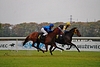 DSC00225.JPG