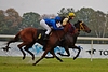 DSC00226.JPG