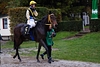 DSC00235.JPG