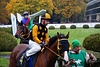 DSC00264.JPG