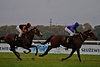 DSC00273.JPG