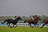DSC00274.JPG