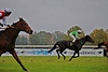 DSC00275.JPG