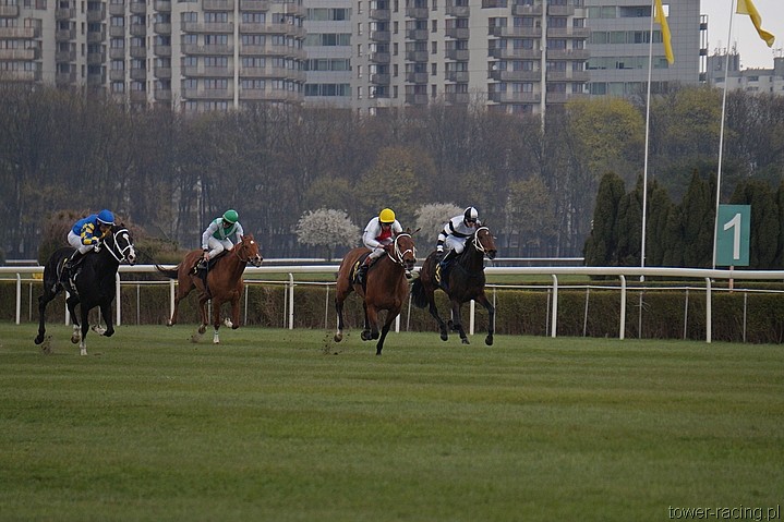 DSC00224.JPG