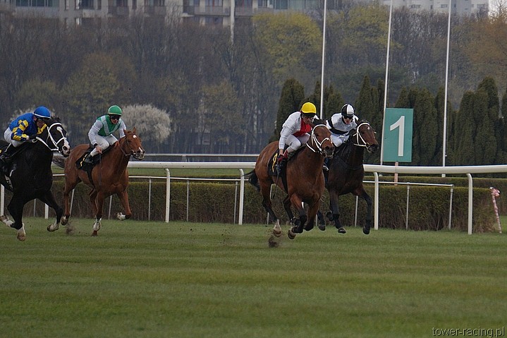 DSC00225.JPG