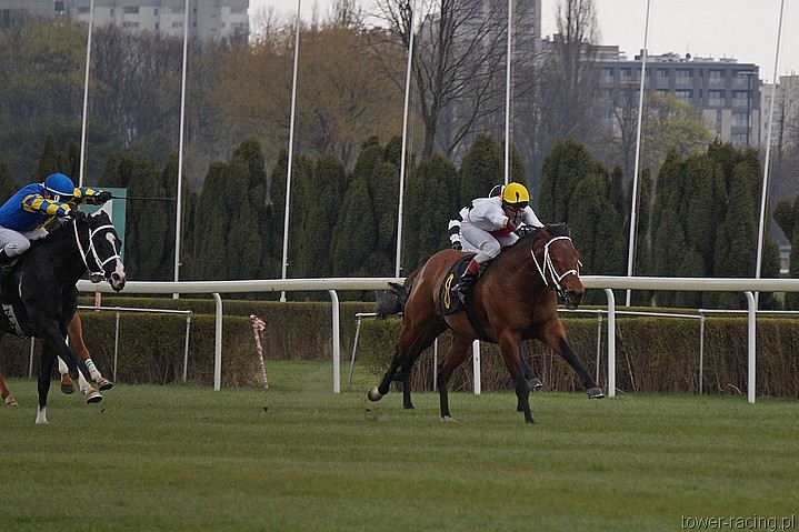 DSC00226.JPG