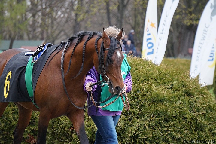 DSC00448.JPG