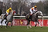 DSC00529.JPG