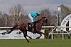 DSC00537.JPG