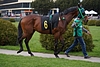 DSC00548.JPG