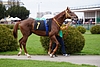 DSC00549.JPG