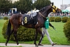 DSC00550.JPG