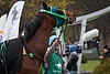 DSC00560.JPG