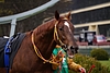 DSC00562.JPG
