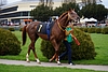 DSC00563.JPG