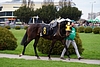 DSC00573.JPG