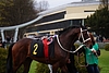 DSC00580.JPG
