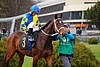 DSC00583.JPG