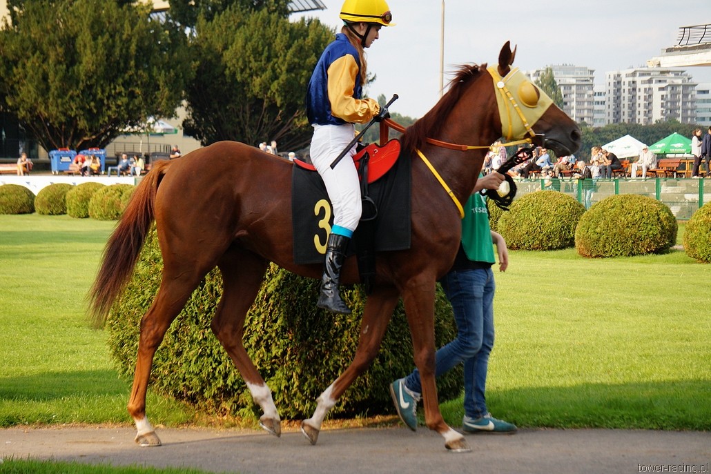 DSC00351.JPG