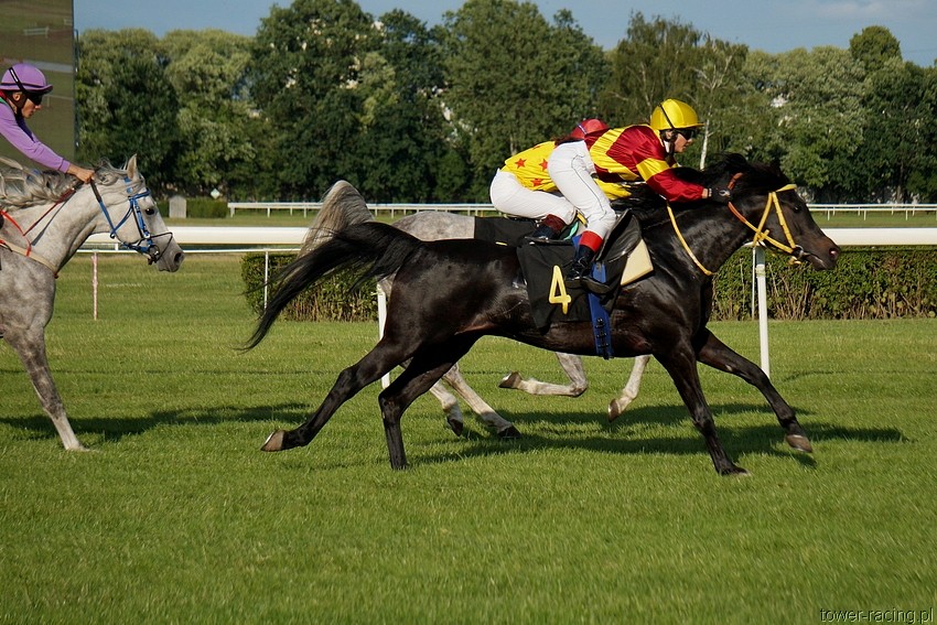 DSC00408.JPG
