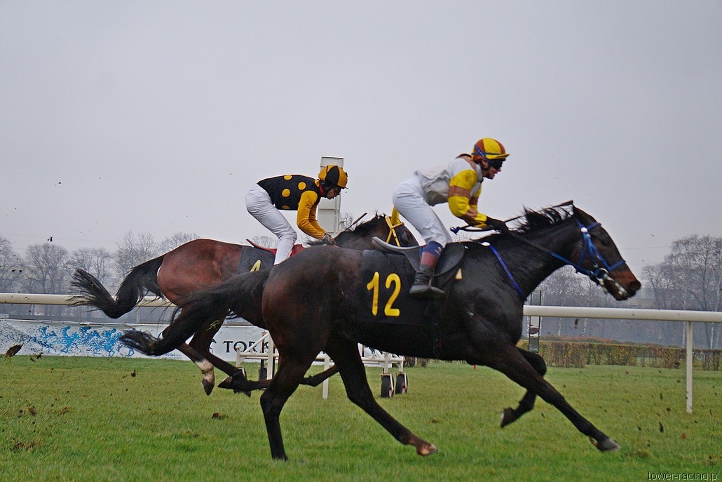 DSC00128.JPG