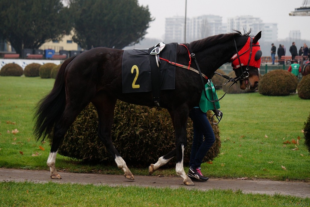 DSC00163.JPG