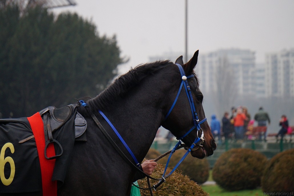 DSC00174.JPG