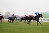 DSC00202.JPG