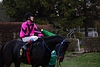 DSC00214.JPG