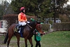 DSC00217.JPG