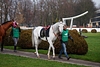 DSC00234.JPG