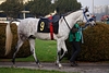DSC00240.JPG
