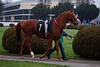 DSC00280.JPG