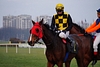 DSC00317.JPG