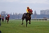 DSC00331.JPG