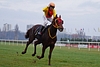 DSC00332.JPG