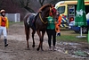 DSC00345.JPG