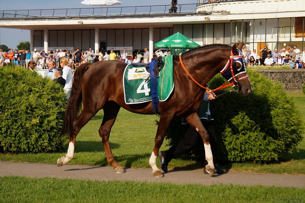 DSC00406.JPG