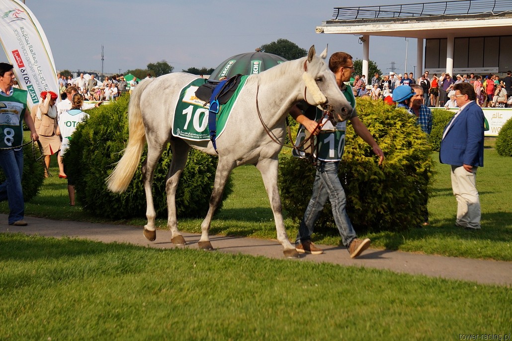 DSC00416.JPG