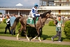 DSC00426.JPG