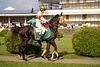 DSC00427.JPG