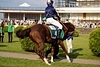 DSC00432.JPG