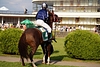 DSC00433.JPG