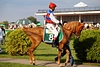 DSC00436.JPG