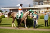DSC00438.JPG