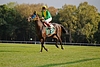 DSC00448.JPG