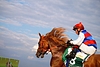 DSC00456.JPG