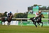 DSC00466.JPG