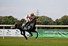 DSC00467.JPG