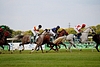 DSC00470.JPG